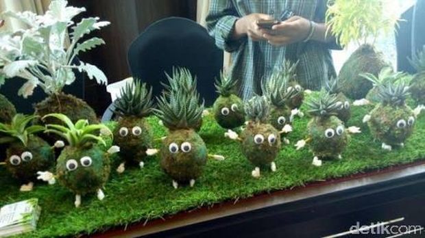 Faldi Adisajana-Bisnis Boneka Lumut