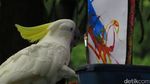 Singapura Punya Taman Burung Terluas di Asia