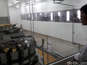 RI Optimistis Segera Ekspor Daging Ayam Segar