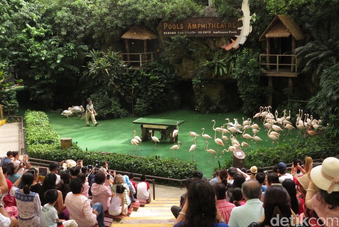 Kebun burung di Singapura