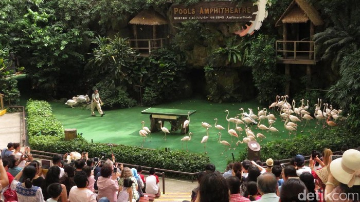 Kebun burung di Singapura
