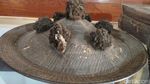 Punya Nyali? Ini Museum Peninggalan Leluhur Toraja di Kete Kesu