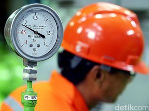 Penyebab PLTP di Mandailing Natal Disetop Sementara