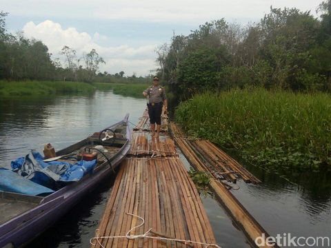 Lagi, Polisi Temukan Aktivitas Ilegal Logging di Hutan Kerumutan