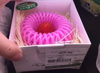 Inikah Strawberry Termahal di Dunia? Per Buah Berharga Rp.290 Ribu!