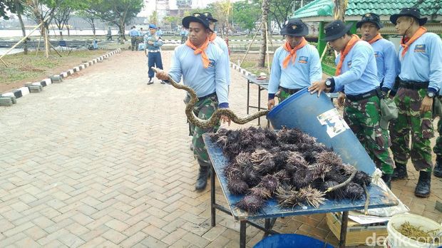 Serunya Outbond 300 Perwira Koarmabar