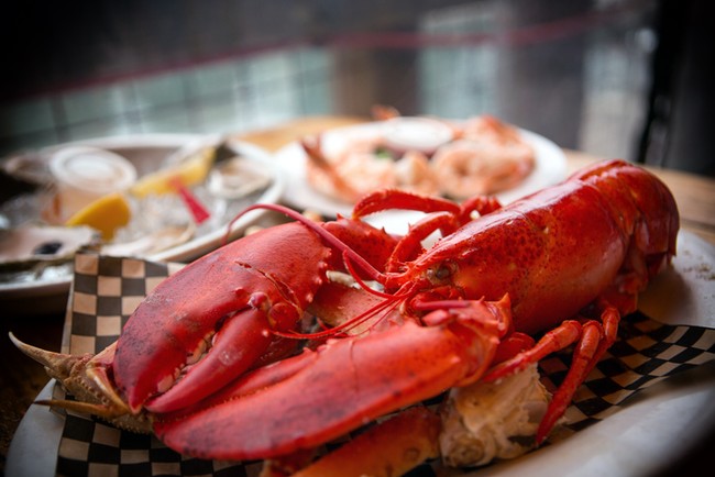 Lobster Juga Berdarah Biru, Ini 5 Fakta Menarik Lain Tentang Lobster