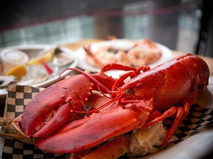 Lobster Juga Berdarah Biru, Ini 5 Fakta Menarik Lain Tentang Lobster