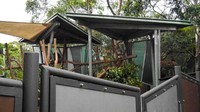 Koala termasuk hewan yang langka dan dilindungi di Australia. Usaha konservasi terus dilakukan untk menghindarkan hewan ini dari kepunahan, termasuk yang dilakukan di Kebun Binatang Taronga, Sydney (Wahyu/detikTravel)
