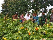 Harga Sembako Jawa Timur 8 November 2025, Harga Cabai Semakin Menanjak