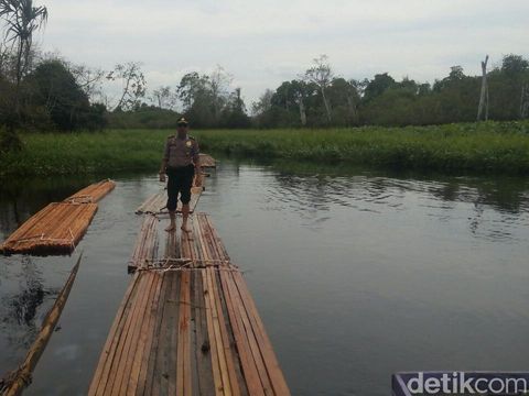 Lagi, Polisi Temukan Aktivitas Ilegal Logging di Hutan Kerumutan