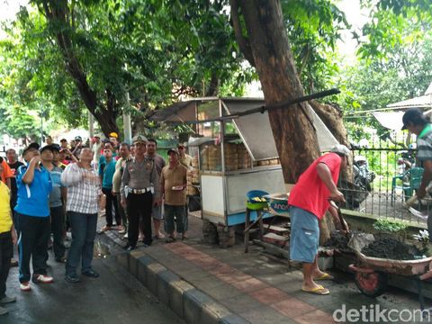 Bupati Dadang pantai pohon yang rawan tumbang