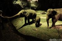 Safari Malam di Singapura, Ngeri-ngeri Seru!