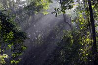 Mimpi Gigi Copot Pertanda Keluarga akan Meninggal? Ini Arti Sebenarnya