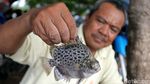 Menjala Ikan di Sungai Penuh Limbah