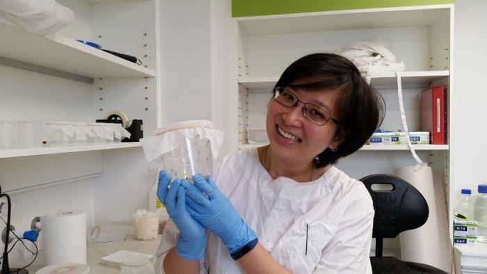 Cassandra Koh, Mahasiswi Indonesia Teliti Nyamuk Dengue di Monash