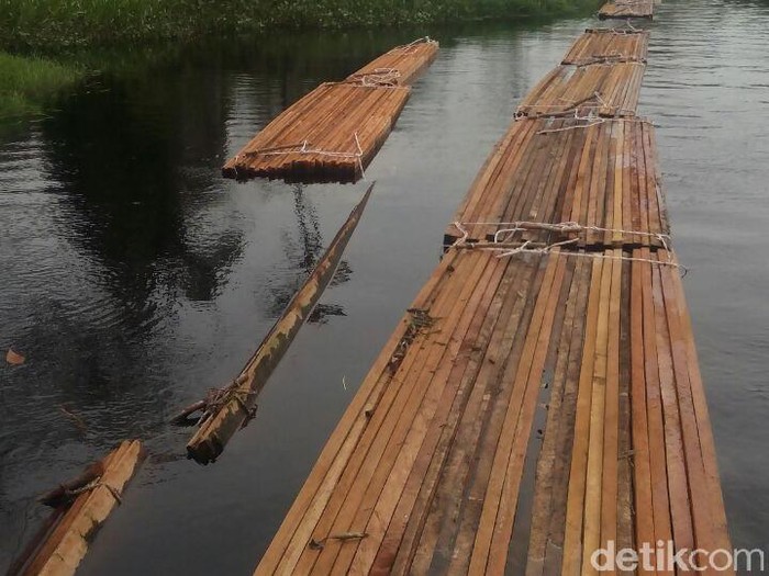 Lagi, Polisi Temukan Aktivitas Illegal Logging di Hutan Kerumutan