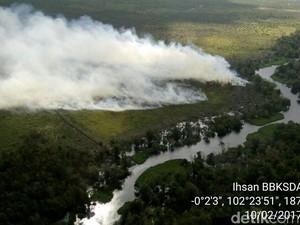 Tentang Gambut, Kemarau, dan Kebakaran Lahan di Riau