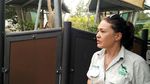 Ketemu Darwin, Si Tukang Tidur dari Australia