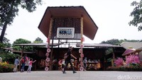 Foto: Night Safari di Singapura mulai beroperasi pada 26 Mei 1994 adalah taman safari pertama di dunia yang mengkhususkan diri pada hewan malam (nokturnal) (Andhika Prasetia/detikTravel)