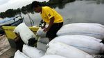 Pencemaran Air Laut Kurangi Kualitas Rumput Laut