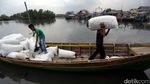 Pencemaran Air Laut Kurangi Kualitas Rumput Laut