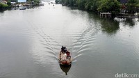 Selain itu, pengunjung juga bisa berperahu keliling hutan bakau.