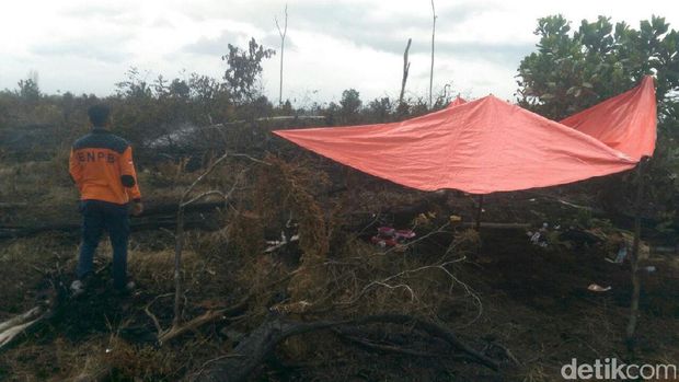 Satgas Udara dan Darat Padamkan Api di Lahan yang Terbakar di Riau