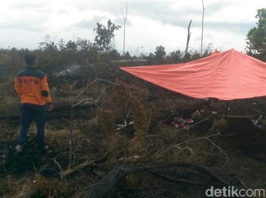 Ratusan Hektare Lahan Terbakar, Pemprov Riau Tetapkan Siaga Darurat