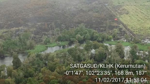 Satgas Udara dan Darat Padamkan Api di Lahan yang Terbakar di Riau