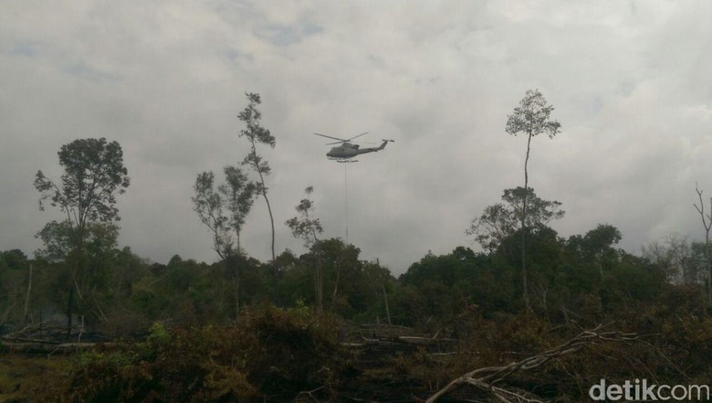Polda Riau Tetapkan 2 Tersangka Baru Kasus Karhutla Polda Riau Tetapkan 2 Tersangka Baru Kasus Karhutla