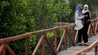 Warga berwisata di Hutan Mangrove Pal Jaya, Taruma Jaya, Kabupaten Bekasi.