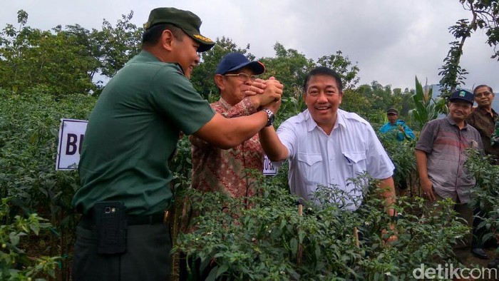 Pemerintah Panen Cabai Merah Keriting di Magetan