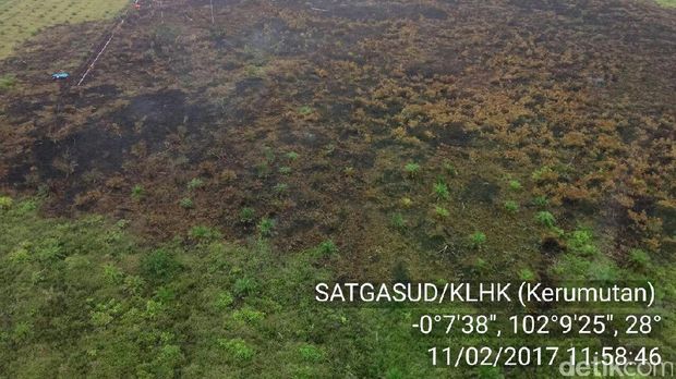 Satgas Udara dan Darat Padamkan Api di Lahan yang Terbakar di Riau