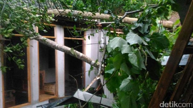 Longsor di Situbondo.