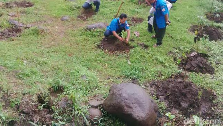 Indonesia Darurat Lahan Pangan? Indonesia Darurat Lahan Pangan?