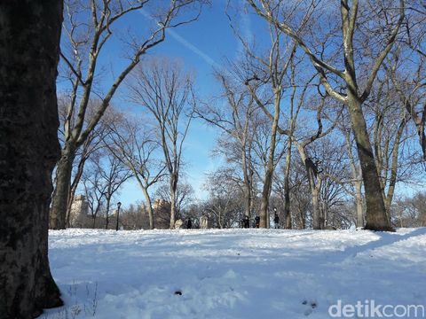 Foto: Cantiknya Pemandangan Central Park New York Kala Bersalju