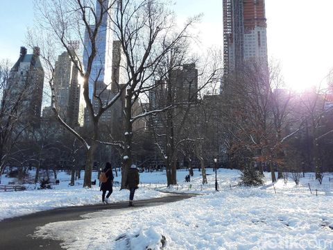 Foto: Cantiknya Pemandangan Central Park New York Kala Bersalju