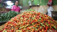 Harga cabai rawit merah masih bertahan di atas Rp 100.000 dalam beberapa pekan terakhir.