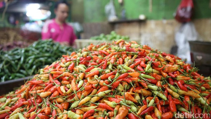 Para pedagang memperdagangkan komoditas cabai dan sejumlah kebutuhan pokok di Pasar Jembatan Lima, Jakarta Barat, Senin (13/2/2016).