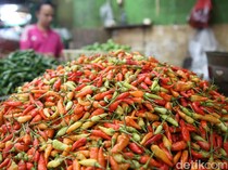 Harga Sembako Jogja Hari Ini 2 Desember 2025: Cabai Rawit Meroket Jadi Segini!