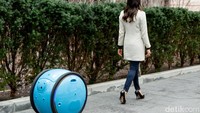 Ini adalah robot Gita. Gita yang memiliki bentuk bulat sanggup mengangkat beban sampai 18 kg. Robot ini juga dapat mengamati serta berkomunikasi, dan juga dapat mengikuti seseorang pada kecepatan hingga 35 km/ jam. Foto: Piaggio Group