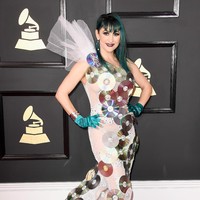 Jacqueline Van Bierk, GRAMMY Awards at STAPLES Center on February 12, 2017 in Los Angeles, California.  (Photo by Frazer Harrison/Getty Images)