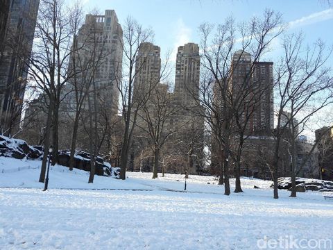 Foto: Cantiknya Pemandangan Central Park New York Kala Bersalju
