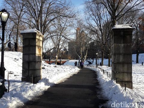 Foto: Cantiknya Pemandangan Central Park New York Kala Bersalju