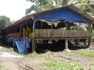 Cerita Warga Banyuwangi Tentang Banjir Setinggi 4 Meter di Desanya