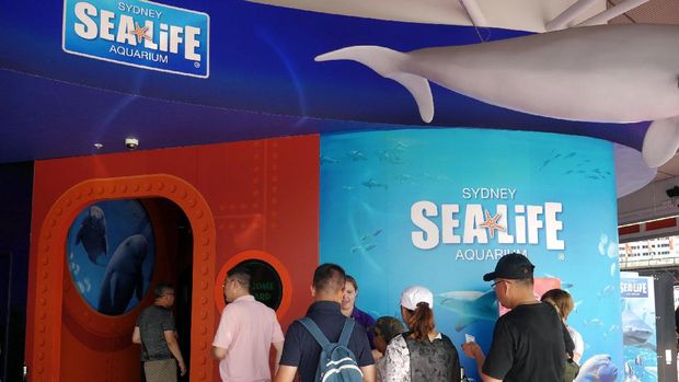  Pengunjung antre masuk Akuarium SEA LIFE Sydney (Wahyu/detikTravel)