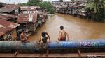 Bertahan di Bantaran Kali Ciliwung