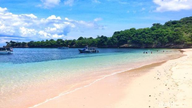 Pantai Pink di Lombok