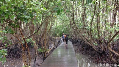 Foto: Long Weekend Idul Adha Anti Mainstream di Bali